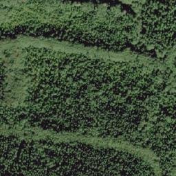 Satellite imagery of Salmonberry Mountain, CA