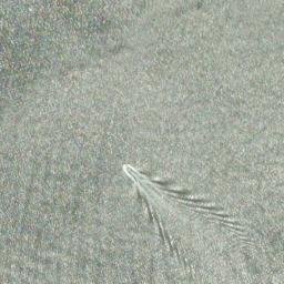 Satellite imagery of Cardale Point, CA