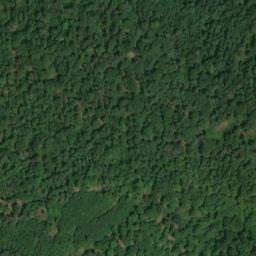 Satellite imagery of Hamberg, DE
