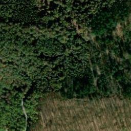 Satellite imagery of Hohe Reute, DE