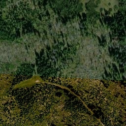Satellite imagery of Medvěd [Modrava-Javoří Pila], CZ