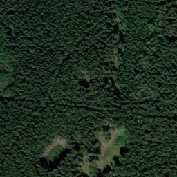Satellite imagery of Včelenský vrch - correct [Buk], CZ
