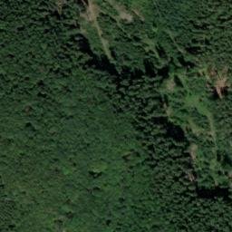 Satellite imagery of Černý les [Buk-Včelná], CZ