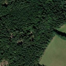 Satellite imagery of Černý les [Buk-Včelná], CZ