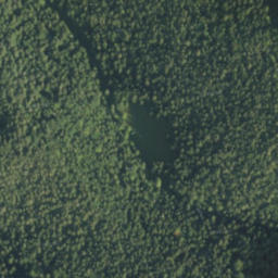 Satellite imagery of biela 152, PL