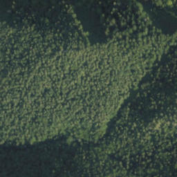 Satellite imagery of biela 152, PL