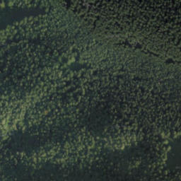 Satellite imagery of biela 152, PL