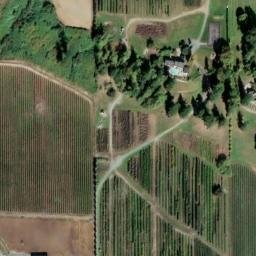 Satellite imagery of Monument 19A, CA