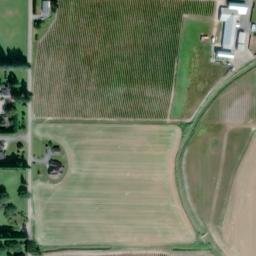 Satellite imagery of Monument 38, CA