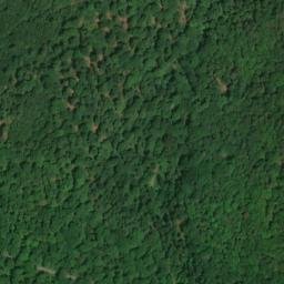 Satellite imagery of Hamberg, DE