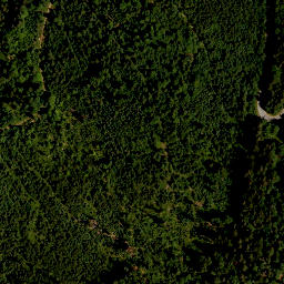 Satellite imagery of Weiß, CZ