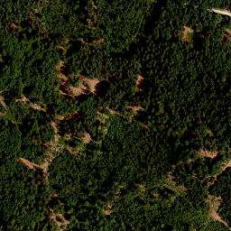 Satellite imagery of TP, CZ