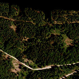 Satellite imagery of TP, CZ