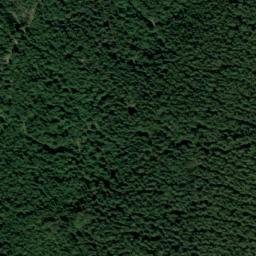 Satellite imagery of Včelenský vrch - correct [Buk], CZ