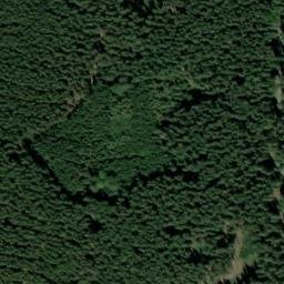 Satellite imagery of Včelenský vrch - correct [Buk], CZ