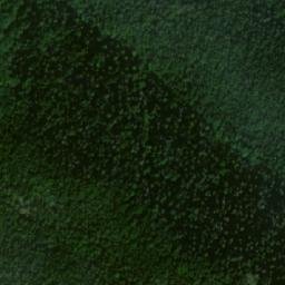 Satellite imagery of Brankov, PL