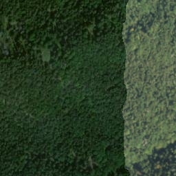 Satellite imagery of Brankov, PL