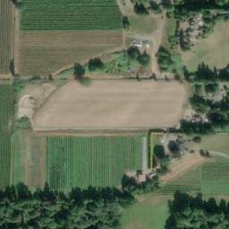 Satellite imagery of Monument 29, CA