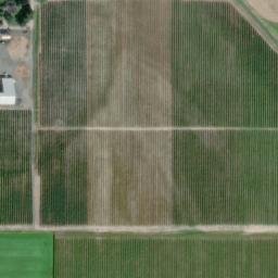 Satellite imagery of Monument 38, CA