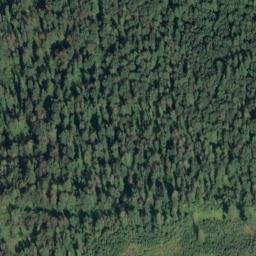 Satellite imagery of Monument 40, CA