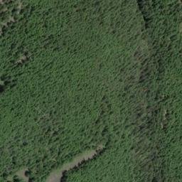 Satellite imagery of Monument 66, CA