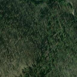 Satellite imagery of Monument 81, CA