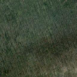 Satellite imagery of Monument 84, CA