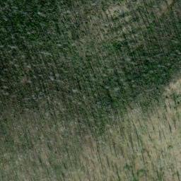 Satellite imagery of Monument 85, CA