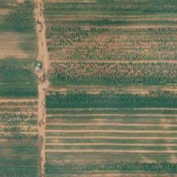 Satellite imagery of Monument 157, CA