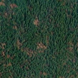 Satellite imagery of Monument 159, CA