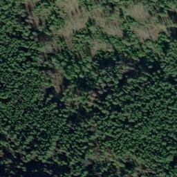 Satellite imagery of Monument 161, CA
