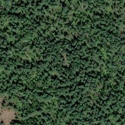 Satellite imagery of Monument 177, CA