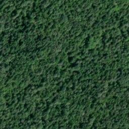 Satellite imagery of Monument 179, CA