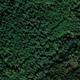 Satellite imagery of Monument 211, CA