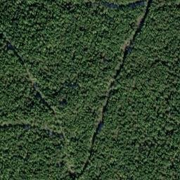 Satellite imagery of Monument 221, CA
