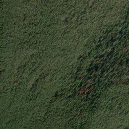Satellite imagery of Monument 223, CA