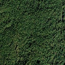 Satellite imagery of Monument 228, CA