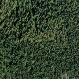 Satellite imagery of Monument 229, CA