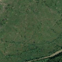 Satellite imagery of Monument 239, CA