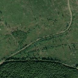 Satellite imagery of Monument 239, CA