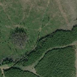 Satellite imagery of Monument 239, CA