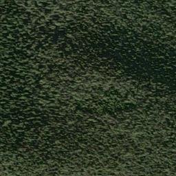 Satellite imagery of Monument 250, CA