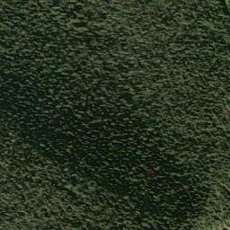 Satellite imagery of Monument 250, CA