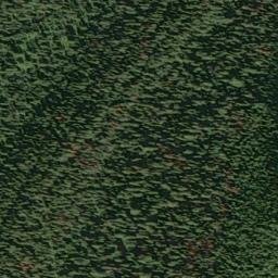 Satellite imagery of Monument 251, CA