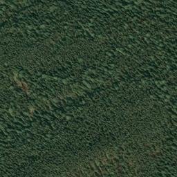 Satellite imagery of Monument 260, CA