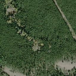 Satellite imagery of Monument 262, CA