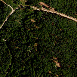 Satellite imagery of TP, CZ