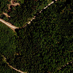 Satellite imagery of TP, CZ