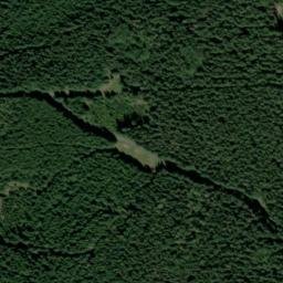 Satellite imagery of Včelenský vrch - correct [Buk], CZ