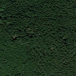 Satellite imagery of Palečkovský vrch [Buk-Včelná], CZ
